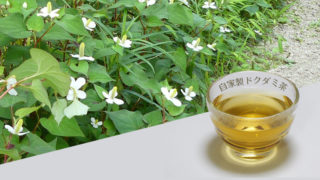 ドクダミ茶の作り方