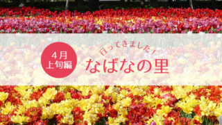 なばなの里チューリップ祭り