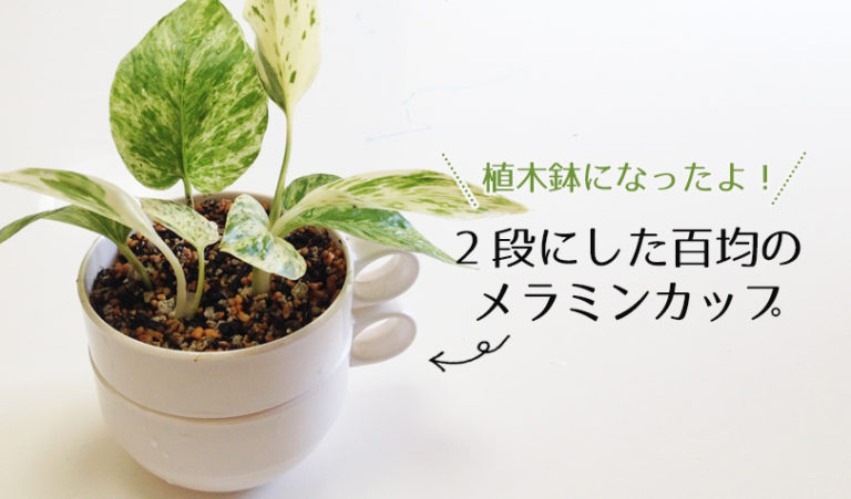 百均ショップの重ねられるメラミン食器を植木鉢にしてみた 下の段が水受けになるよ らしくらし