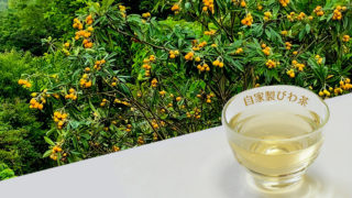 びわ茶の作り方
